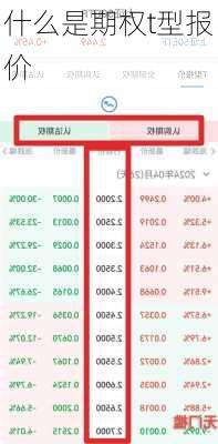 什么是期权t型报价