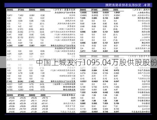 中国上城发行1095.04万股供股股份