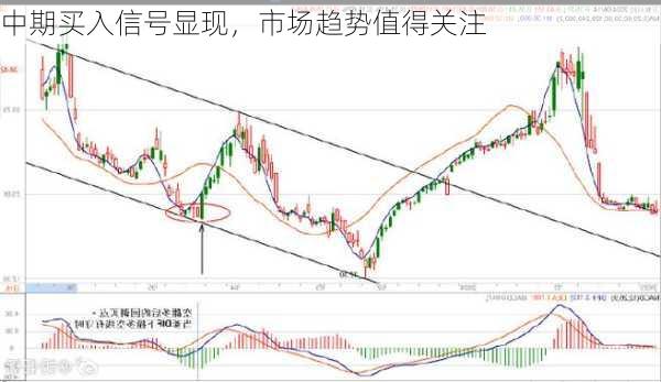 中期买入信号显现，市场趋势值得关注