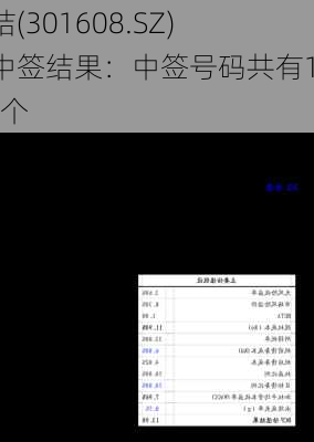 博实结(301608.SZ)披露中签结果：中签号码共有1.78万个