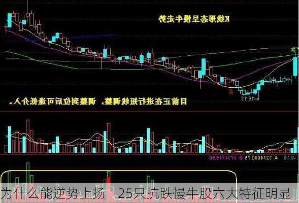 为什么能逆势上扬    25只抗跌慢牛股六大特征明显