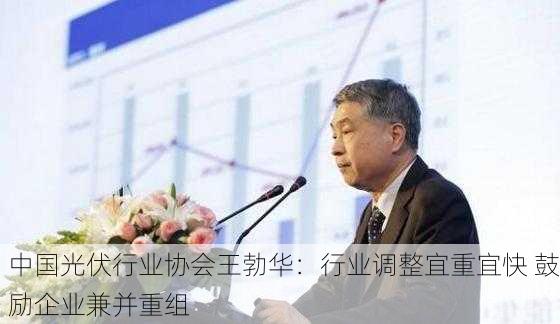 中国光伏行业协会王勃华：行业调整宜重宜快 鼓励企业兼并重组