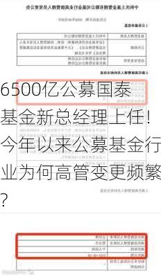 6500亿公募国泰基金新总经理上任！今年以来公募基金行业为何高管变更频繁?