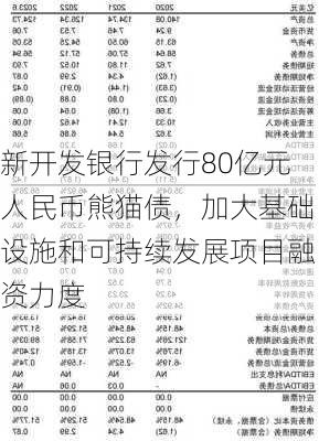 新开发银行发行80亿元人民币熊猫债，加大基础设施和可持续发展项目融资力度