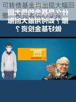 可转债基金均出现大幅回撤，投资者信心受挫