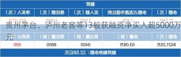 贵州茅台、泸州老窖等13股获融资净买入超5000万元