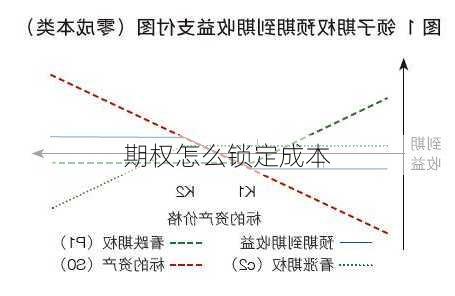 期权怎么锁定成本