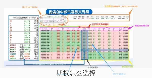 期权怎么选择