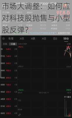 市场大调整：如何应对科技股抛售与小型股反弹？