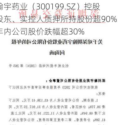 翰宇药业（300199.SZ）控股股东、实控人质押所持股份超90% 年内公司股价跌幅超30%