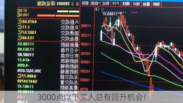 3000点以下买入总有回升机会！