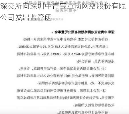 深交所向深圳中青宝互动网络股份有限公司发出监管函