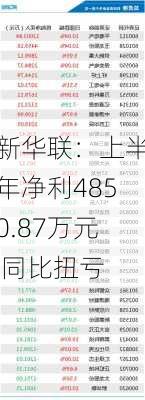 新华联：上半年净利4850.87万元 同比扭亏