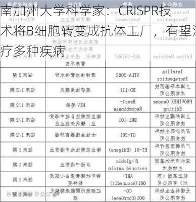 南加州大学科学家：CRISPR技术将B细胞转变成抗体工厂，有望治疗多种疾病