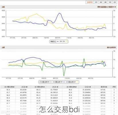 怎么交易bdi