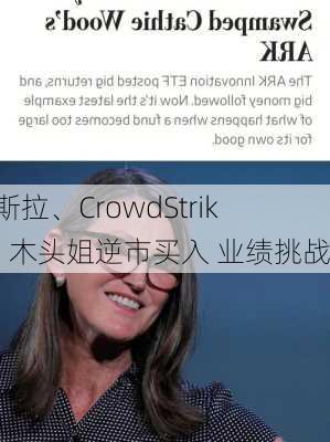 特斯拉、CrowdStrike：木头姐逆市买入 业绩挑战