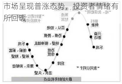 市场呈现普涨态势，投资者情绪有所回暖