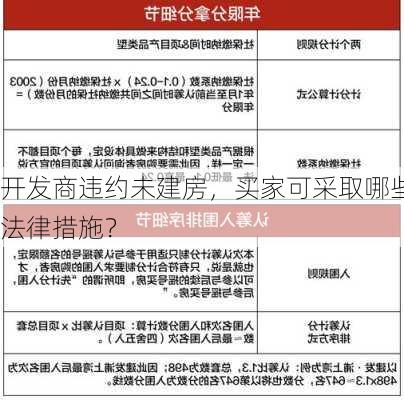 开发商违约未建房，买家可采取哪些法律措施？