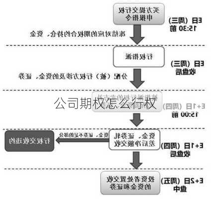 公司期权怎么行权