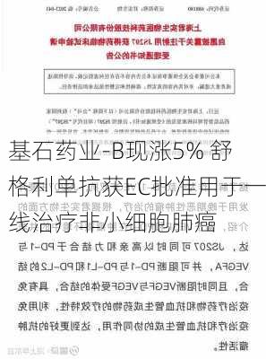 基石药业-B现涨5% 舒格利单抗获EC批准用于一线治疗非小细胞肺癌