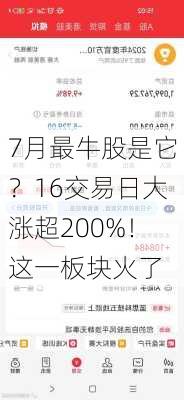 7月最牛股是它？16交易日大涨超200%！这一板块火了