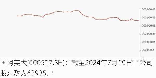 国网英大(600517.SH)：截至2024年7月19日，公司股东数为63935户