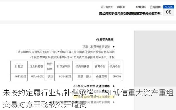 未按约定履行业绩补偿承诺，*ST博信重大资产重组交易对方王飞被公开谴责