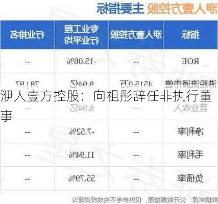 洢人壹方控股：向祖彤辞任非执行董事