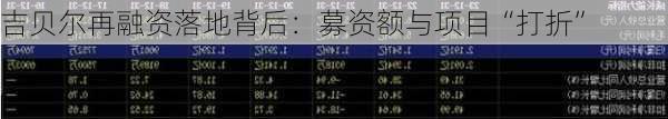吉贝尔再融资落地背后：募资额与项目“打折”
