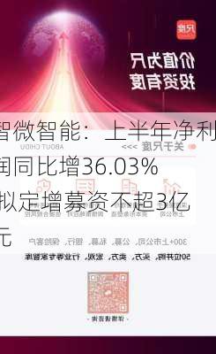 智微智能：上半年净利润同比增36.03% 拟定增募资不超3亿元