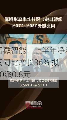 智微智能：上半年净利润同比增长36% 拟10派0.8元