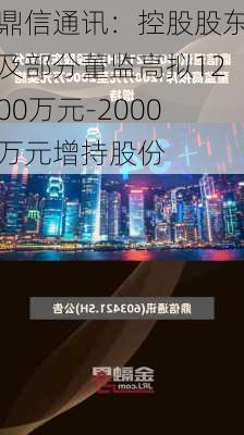 鼎信通讯：控股股东及部分董监高拟1200万元-2000万元增持股份