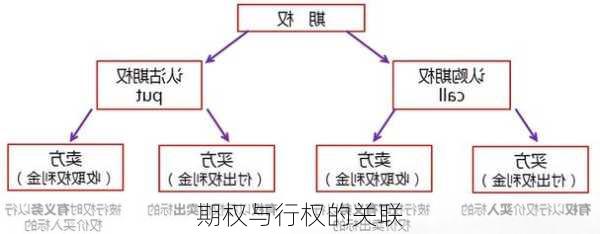 期权与行权的关联