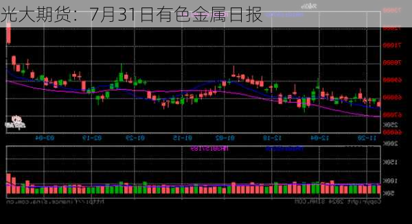 光大期货：7月31日有色金属日报