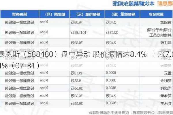 赛恩斯（688480）盘中异动 股价振幅达8.4%  上涨7.04%（07-31）