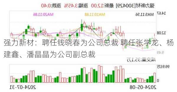 强力新材：聘任钱晓春为公司总裁 聘任张学龙、杨建鑫、潘晶晶为公司副总裁