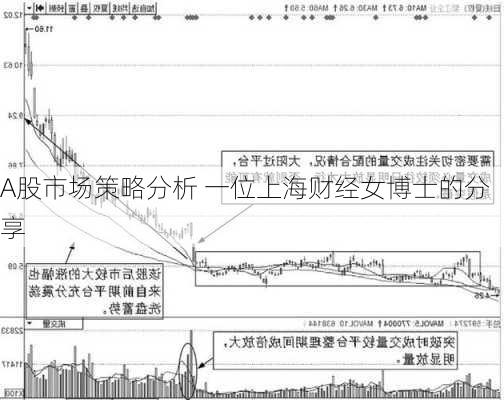 A股市场策略分析 一位上海财经女博士的分享