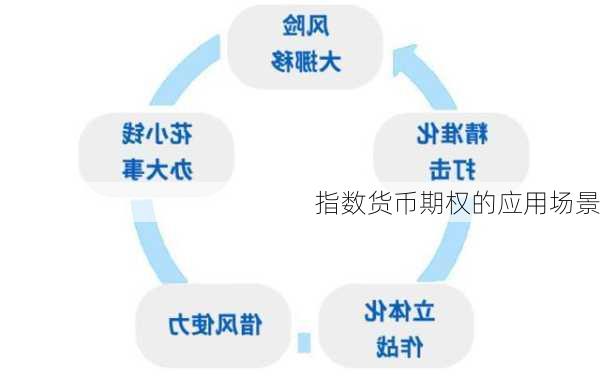 指数货币期权的应用场景