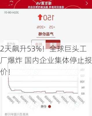 2天飙升53%！全球巨头工厂爆炸 国内企业集体停止报价！