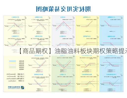 【商品期权】油脂油料板块期权策略提示