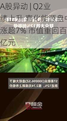 A股异动 | Q2业绩上升 嘉化能源盘中涨超7% 市值重回百亿元