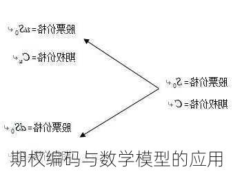 期权编码与数学模型的应用