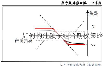 如何构建领子组合期权策略