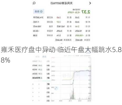 雍禾医疗盘中异动 临近午盘大幅跳水5.88%