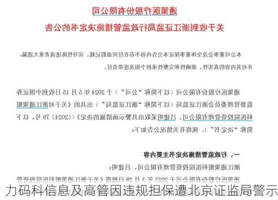 力码科信息及高管因违规担保遭北京证监局警示