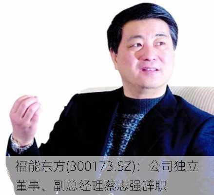 福能东方(300173.SZ)：公司独立董事、副总经理蔡志强辞职