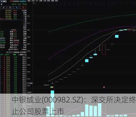 中银绒业(000982.SZ)：深交所决定终止公司股票上市