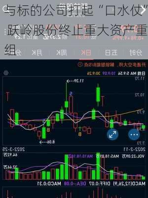 与标的公司打起“口水仗” 跃岭股份终止重大资产重组