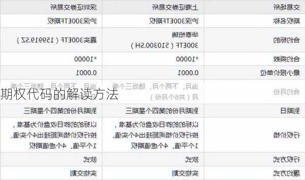 期权代码的解读方法