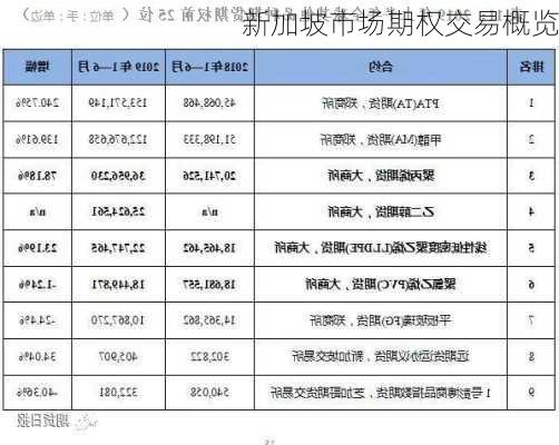 新加坡市场期权交易概览